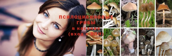 альфа пвп VHQ Инта