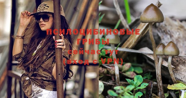 альфа пвп VHQ Инта